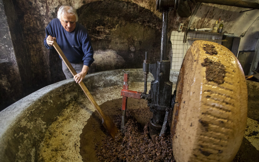 Le pressoir Entrevaux