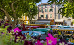 Jour de marché à Riez